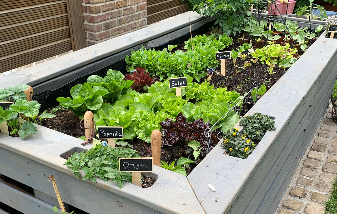 Sorgen Sie für frische Kräuter - im eigenen Hochbeet auf Balkon oder Terrasse Kräuter und Obst in einem Hochbeet