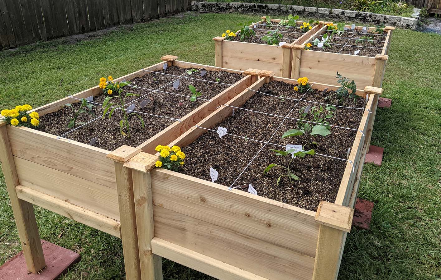 Hochbeete gibts bei uns! Hochbeet mit Blumen bepflanzt